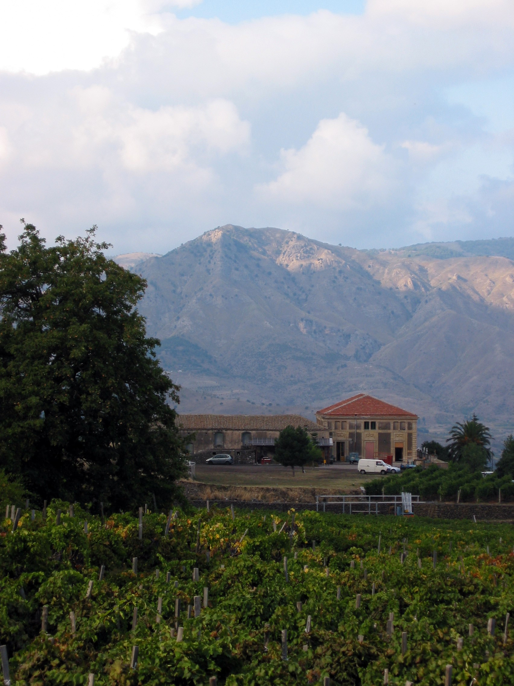 Sicilian wine guide — Etna DOC and when to add a winery stop from the tender port